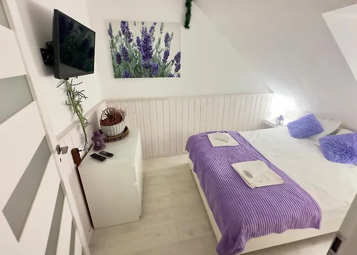 W Karpaczu ,, Lawendowy I Mieta Goralki 