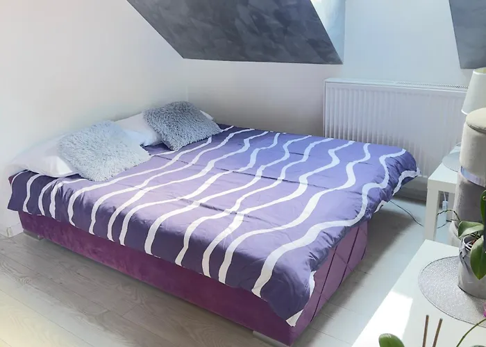 W Karpaczu ,, Lawendowy I Mieta Goralki 