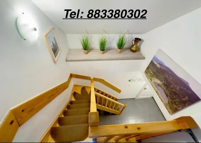 W Karpaczu ,, Lawendowy I Mieta Goralki 